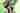 Blur placeholder voor Graphics editing eindopdracht