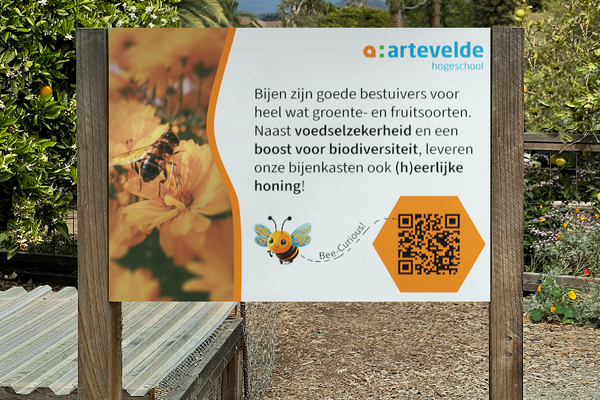 To Bee or not to Bee