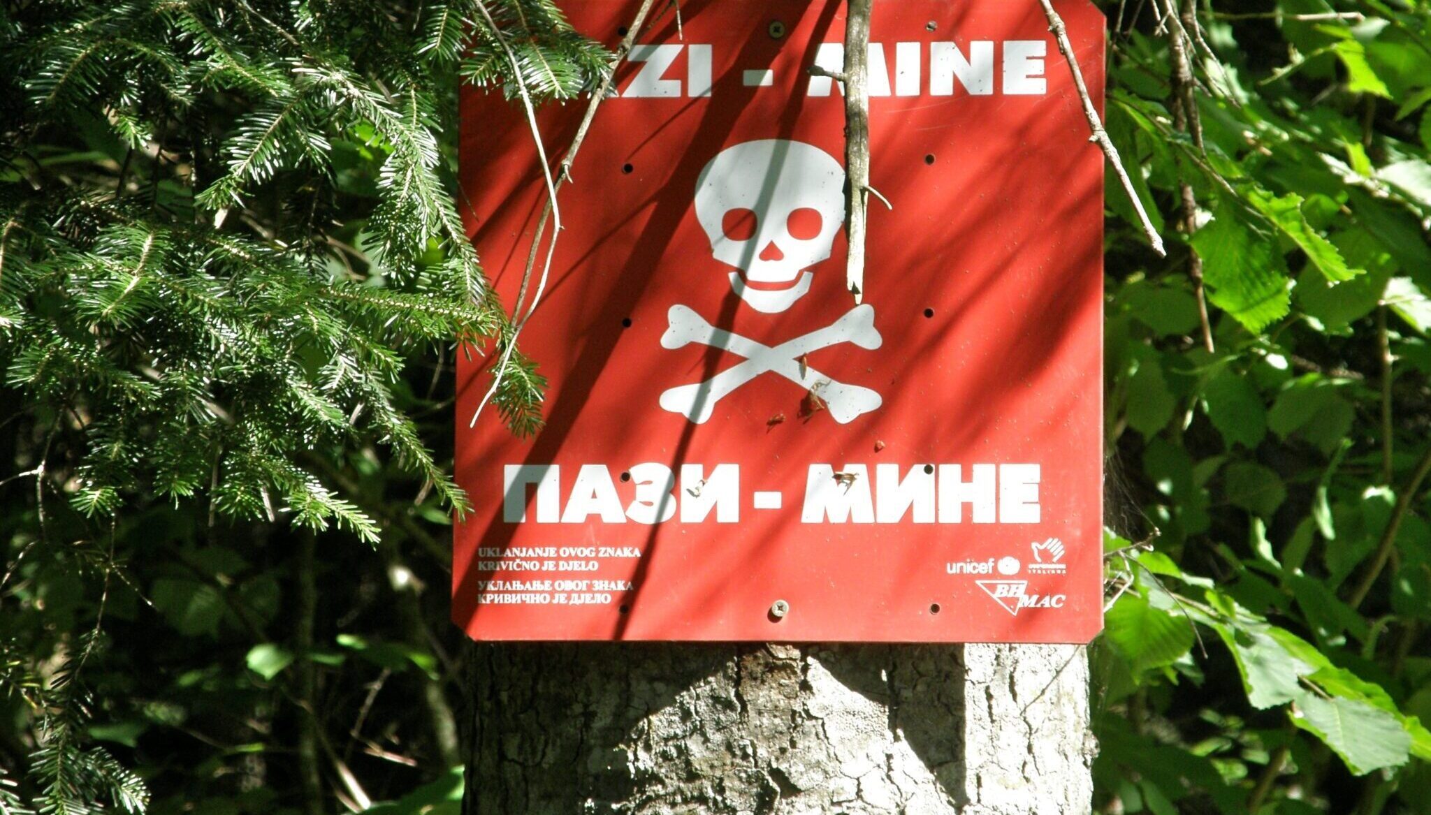 Is the Mine Ban Treaty at Risk?