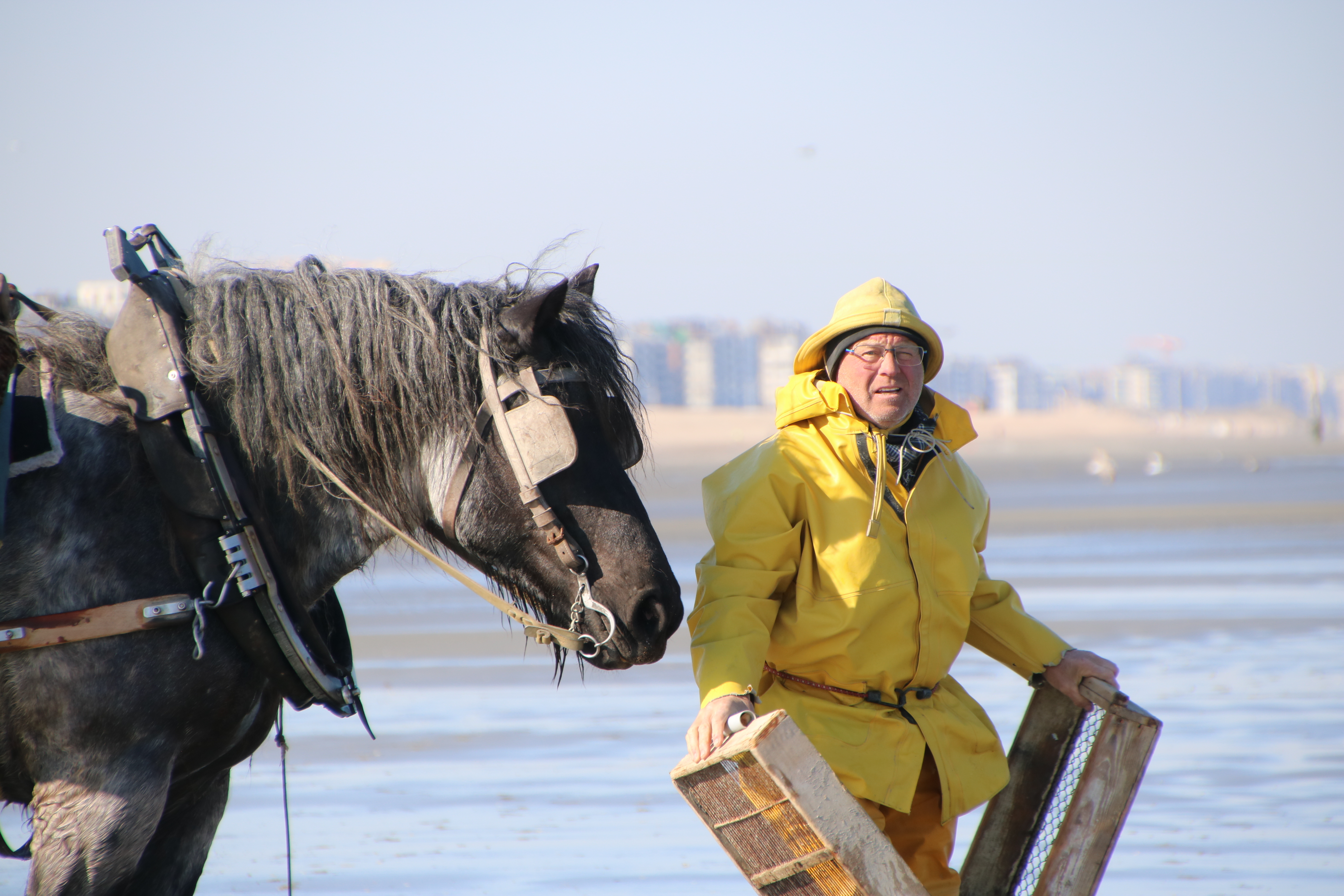 Stefaan Hancke next to his horse Dina. 