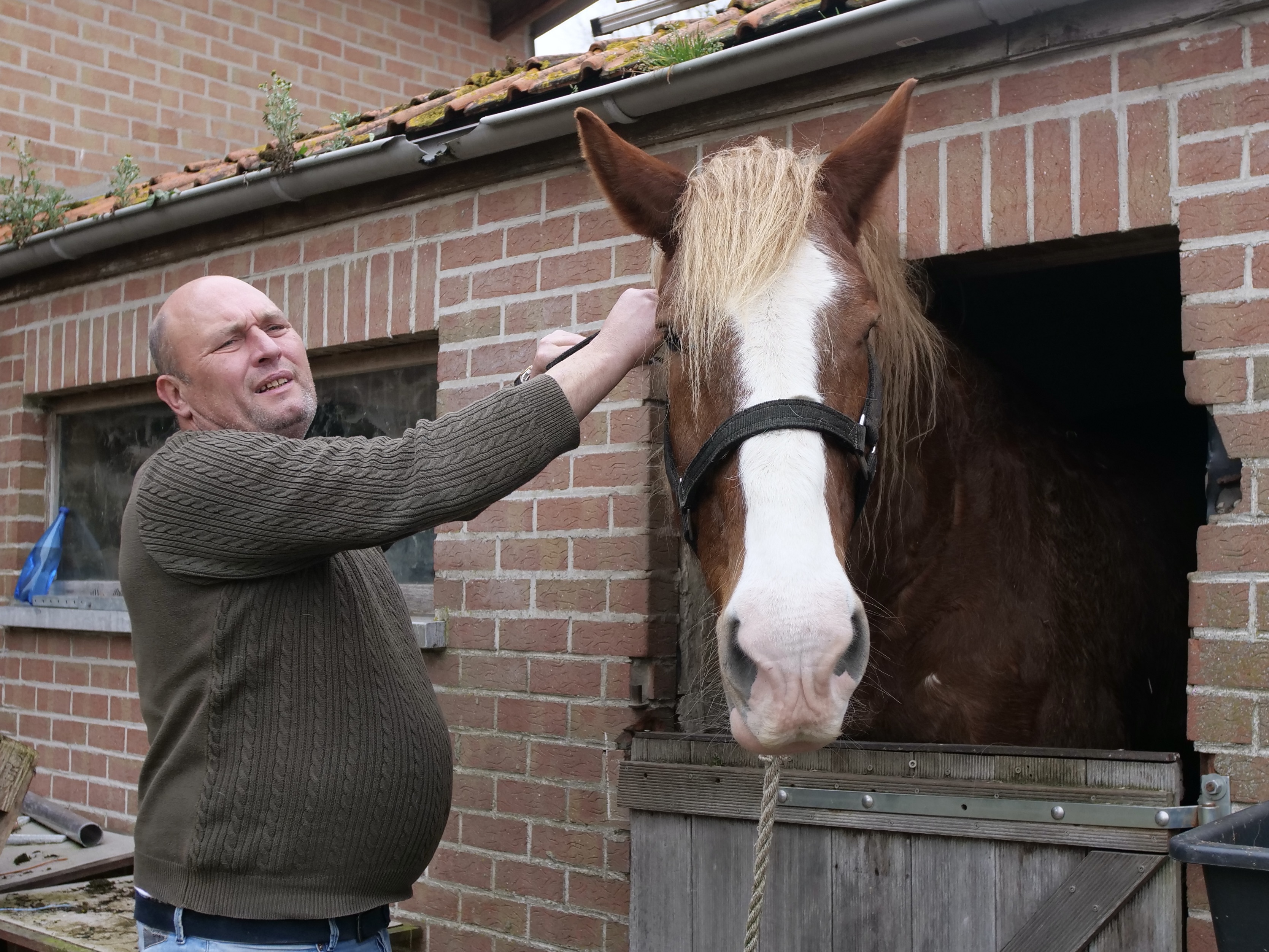 Xavier next to his horse in the stable. 