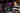Blur placeholder voor Geknipt voor de top