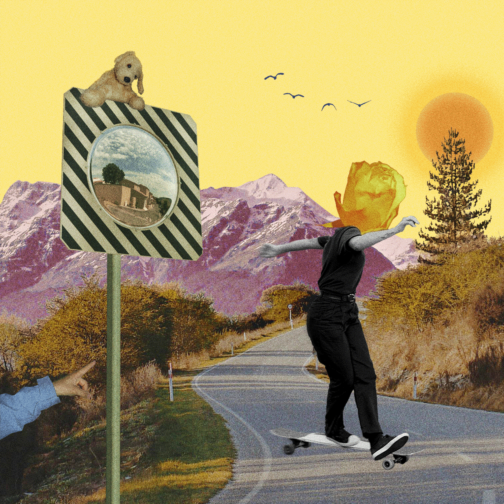 Collage