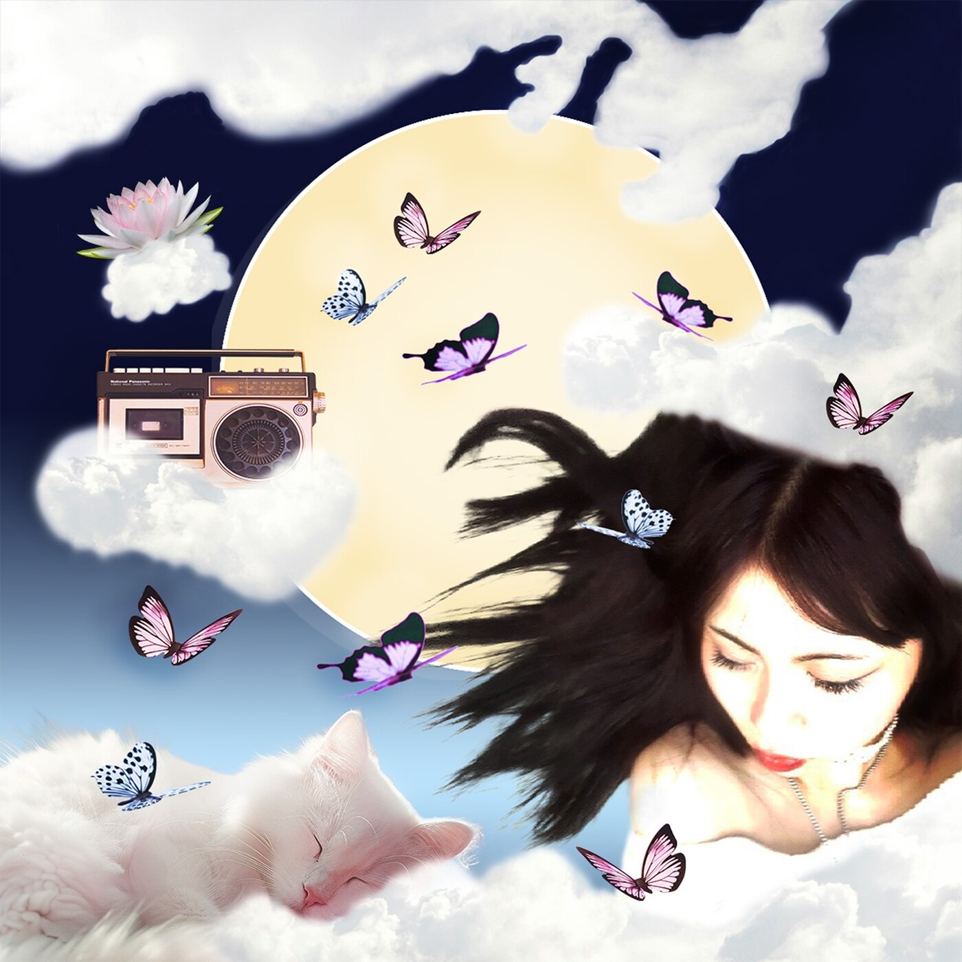 DVGA1 Amalia Weng PO
