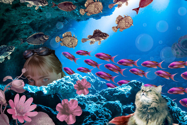 Collage