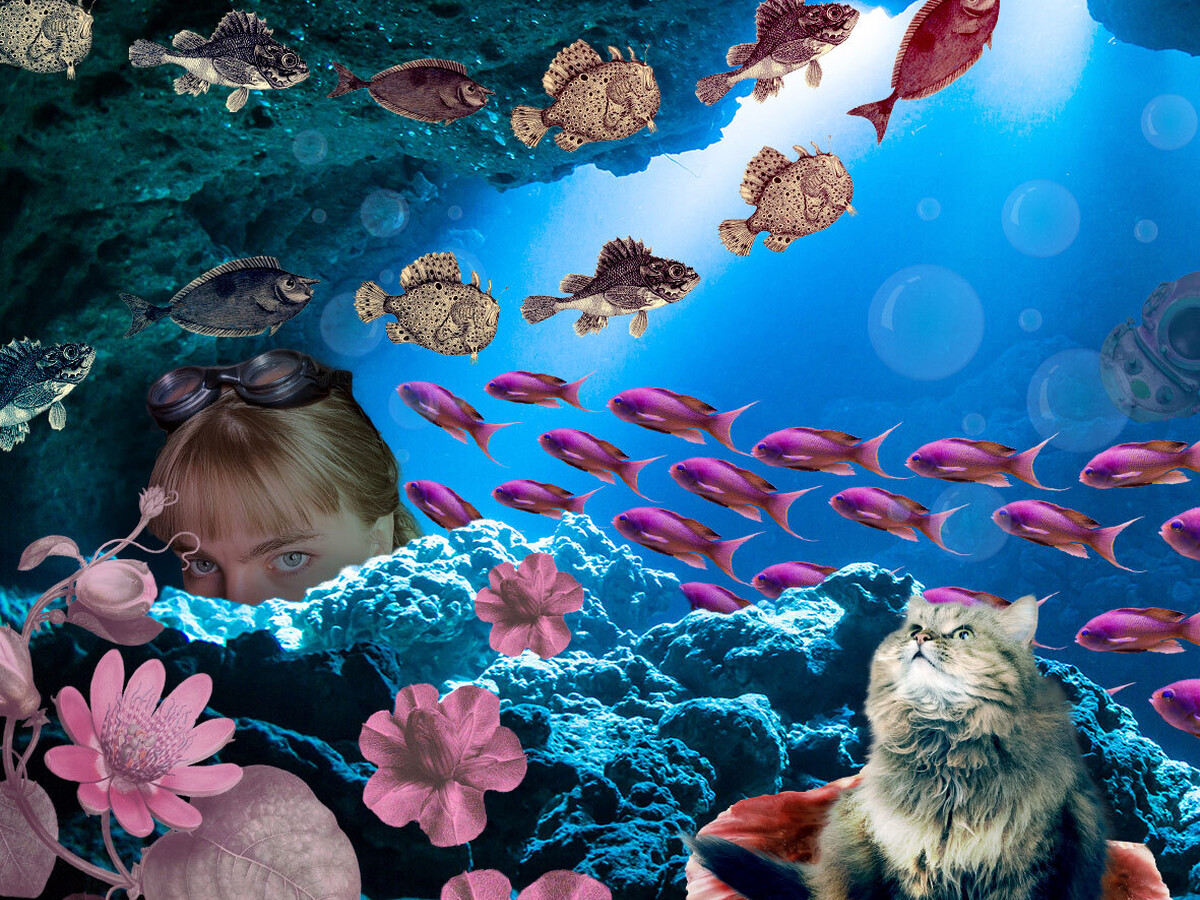Collage
