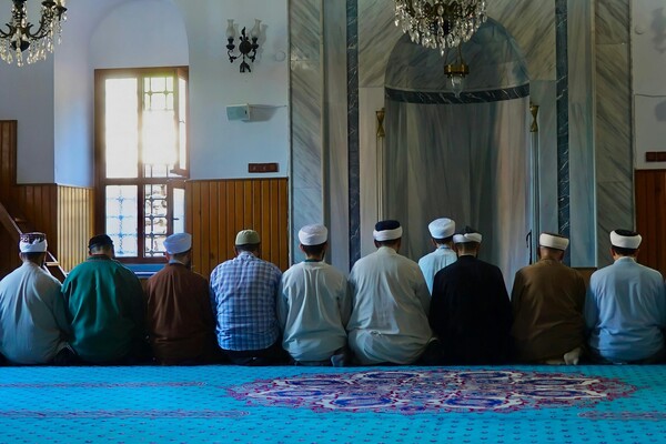 Flamanca: Vlaamse Turken en hun taal