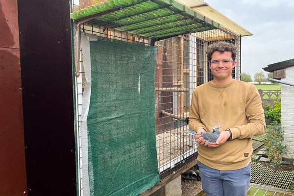 Tibe (21) speelt met de duiven