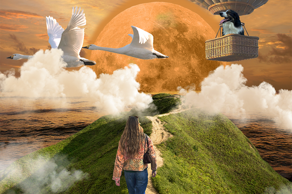 Visual Identity: A Collage About Me