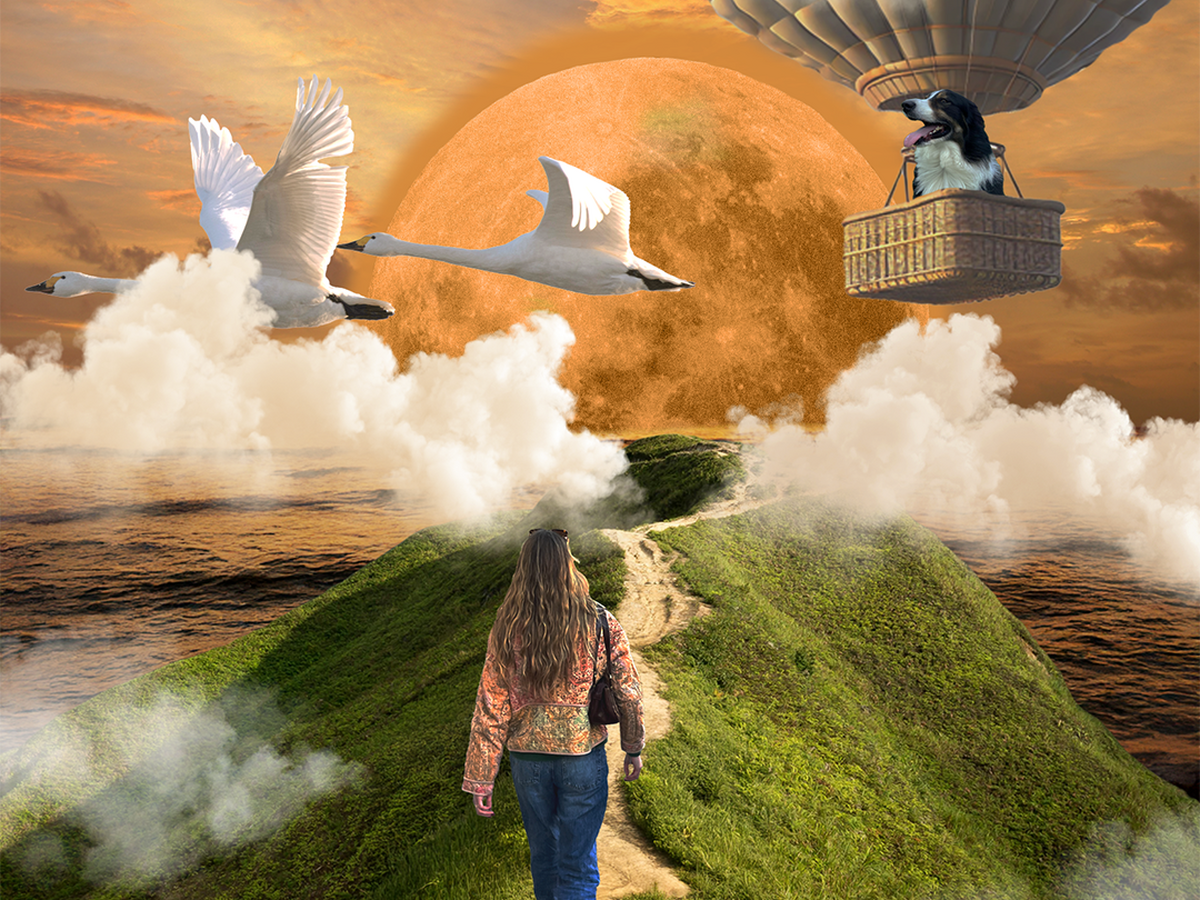 Visual Identity: A Collage About Me