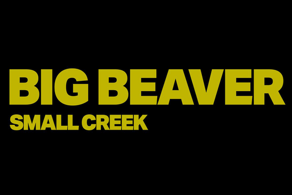 Small Creek Big Beaver
