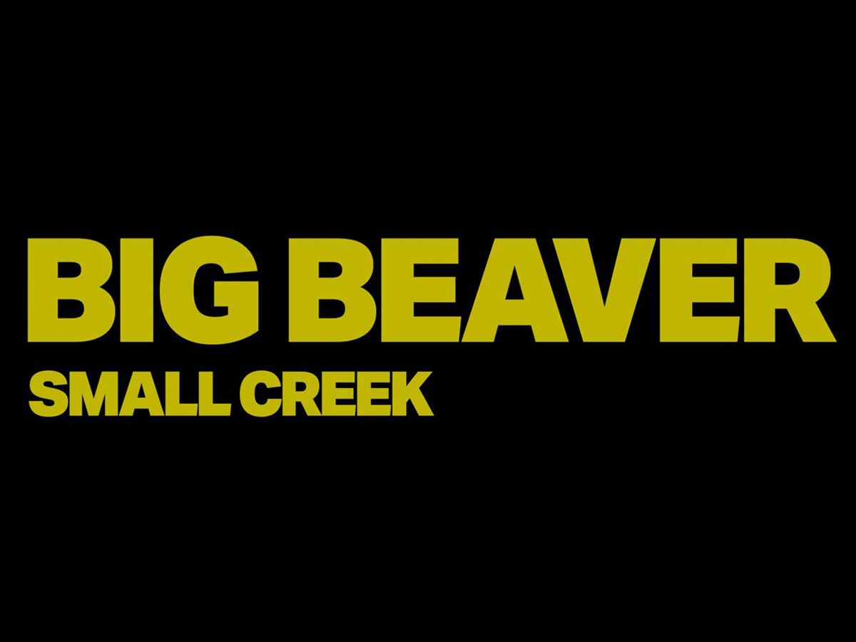 Small Creek Big Beaver