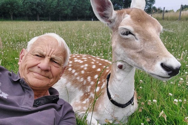 Trail Hunting Under Fire in England – Could Belgium Face the Same Fate?