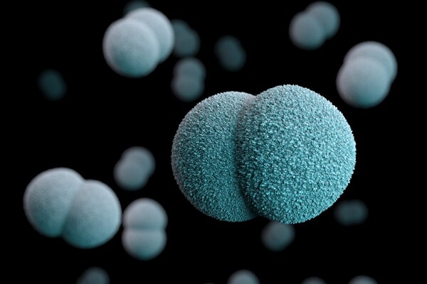 Kent Meningitis Outbreak: What’s Behind the Strong Public Health Response?