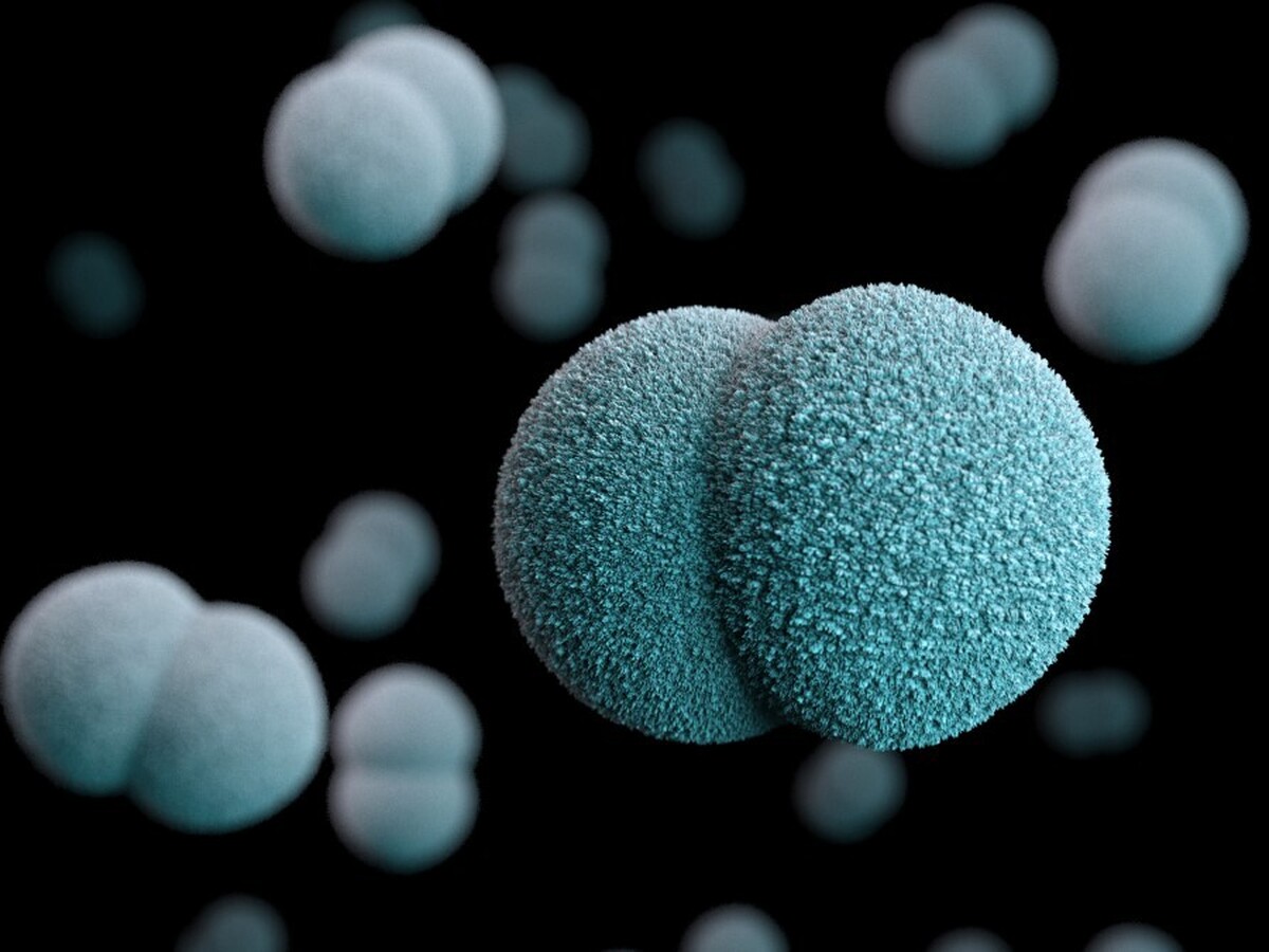 Kent Meningitis Outbreak: What’s Behind the Strong Public Health Response?