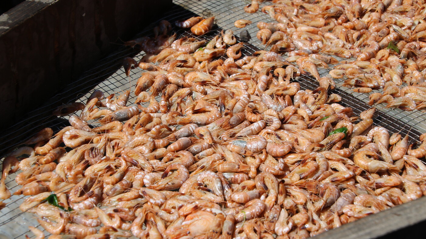 Close up freshly cooked shrimp.