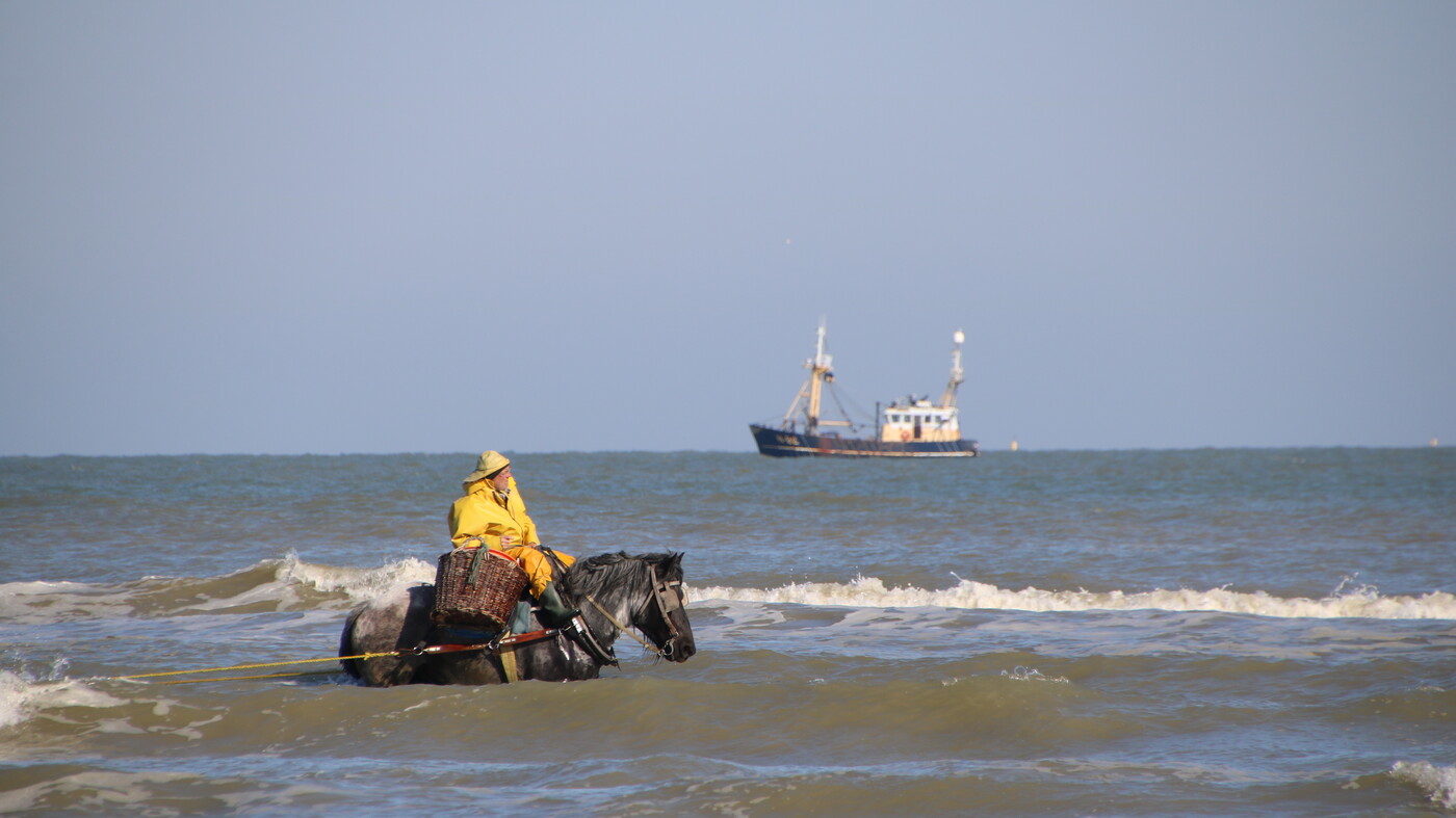 Horse in the Sea, with Stefaan on top.