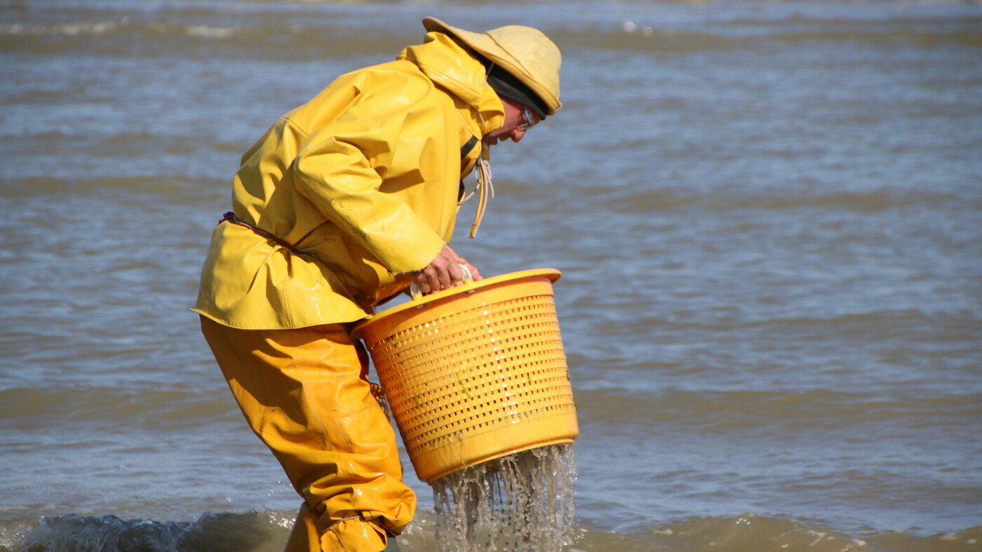 Stefaan washing his catch in the sea.