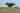 Blur placeholder voor Djinns, drakenbloed en honderden geiten: dit is Socotra