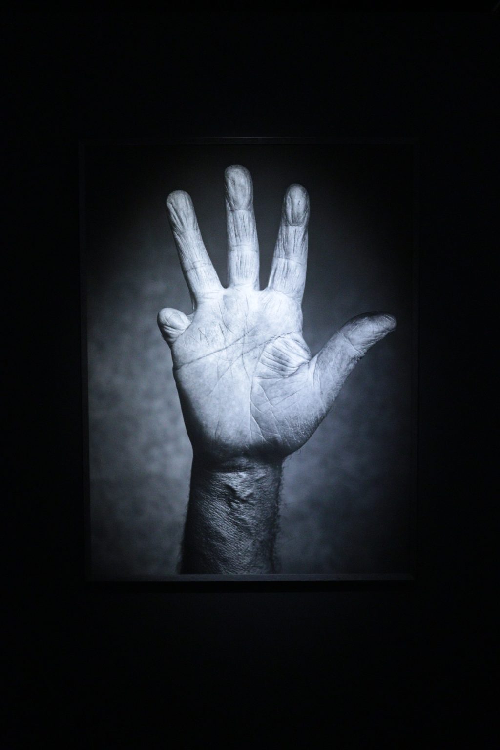 Hand, Foto: Eline Cornelis
