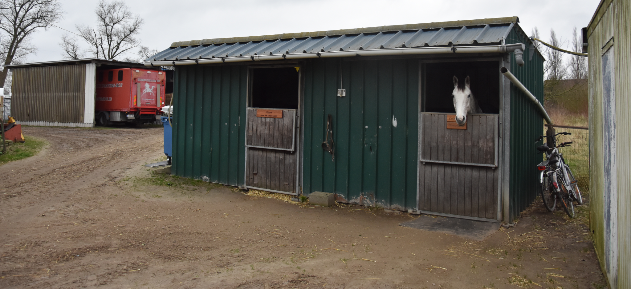 Manege Dravershof sluit de deuren: “Ik weet echt niet waar al die paarden naartoe kunnen”