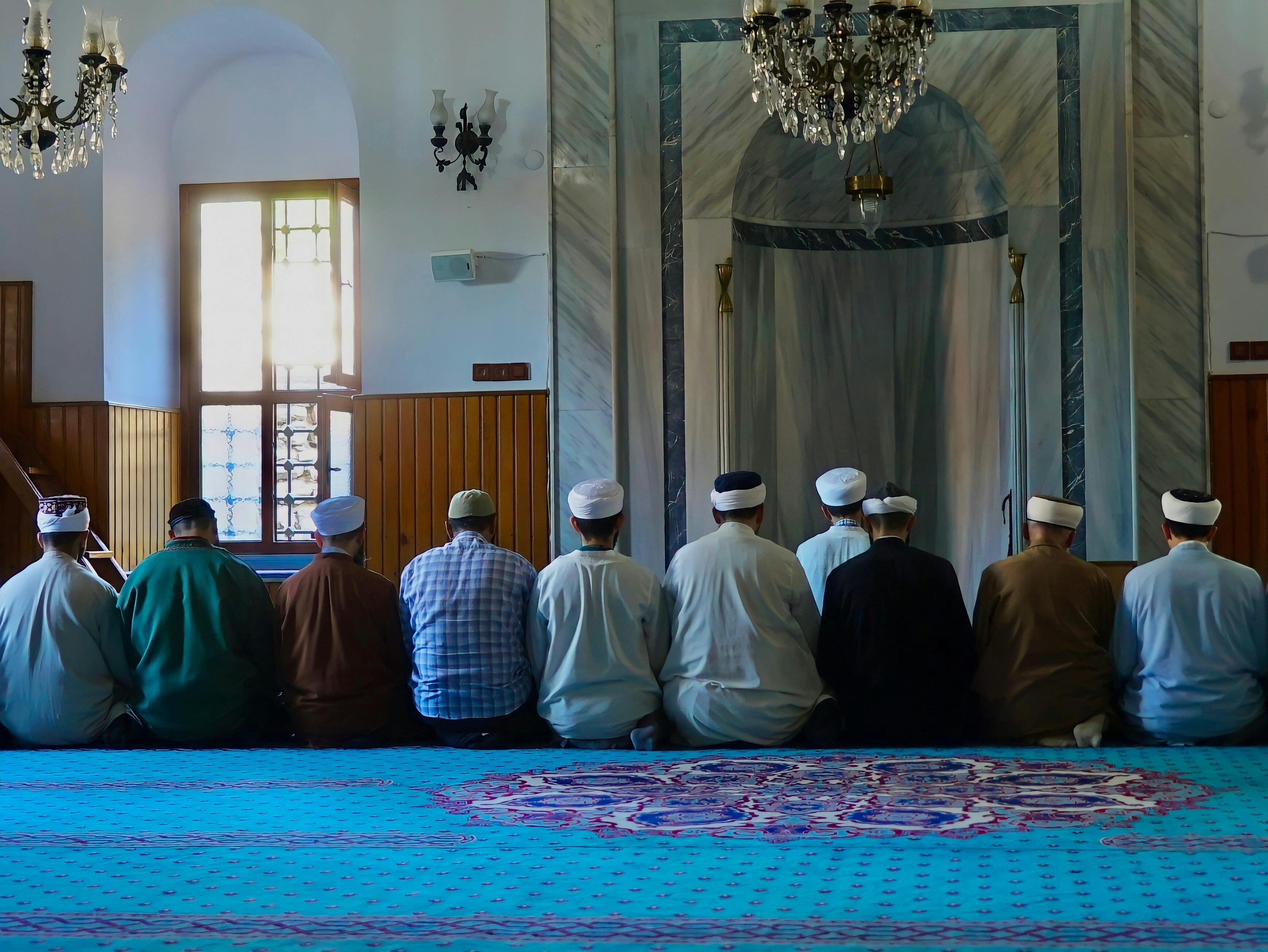 Flamanca: Vlaamse Turken en hun taal